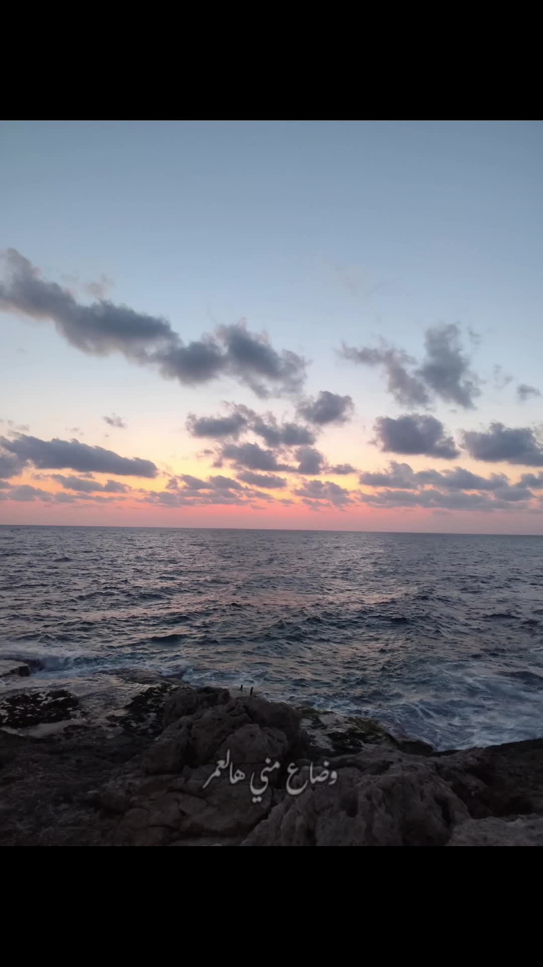 @سـيدرا || 𝑺𝒆𝒅𝒓𝒂 🌸🤍.