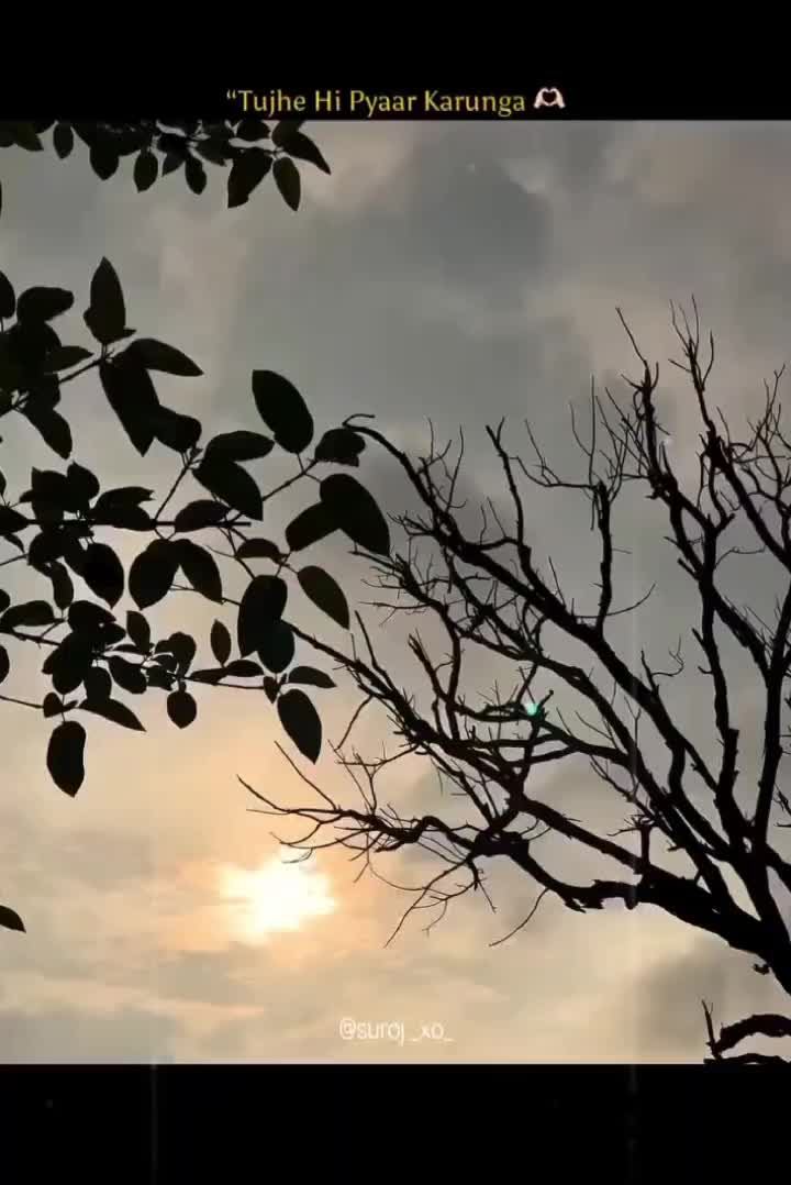 @SUBHAM___10K__?