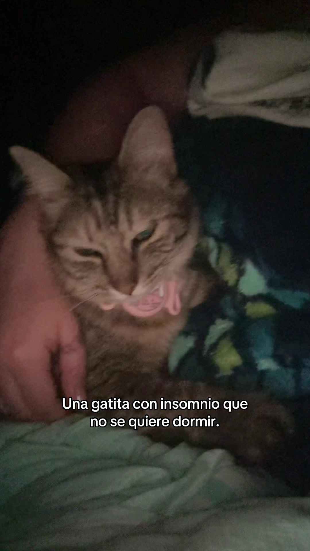 @Dany_peanuts