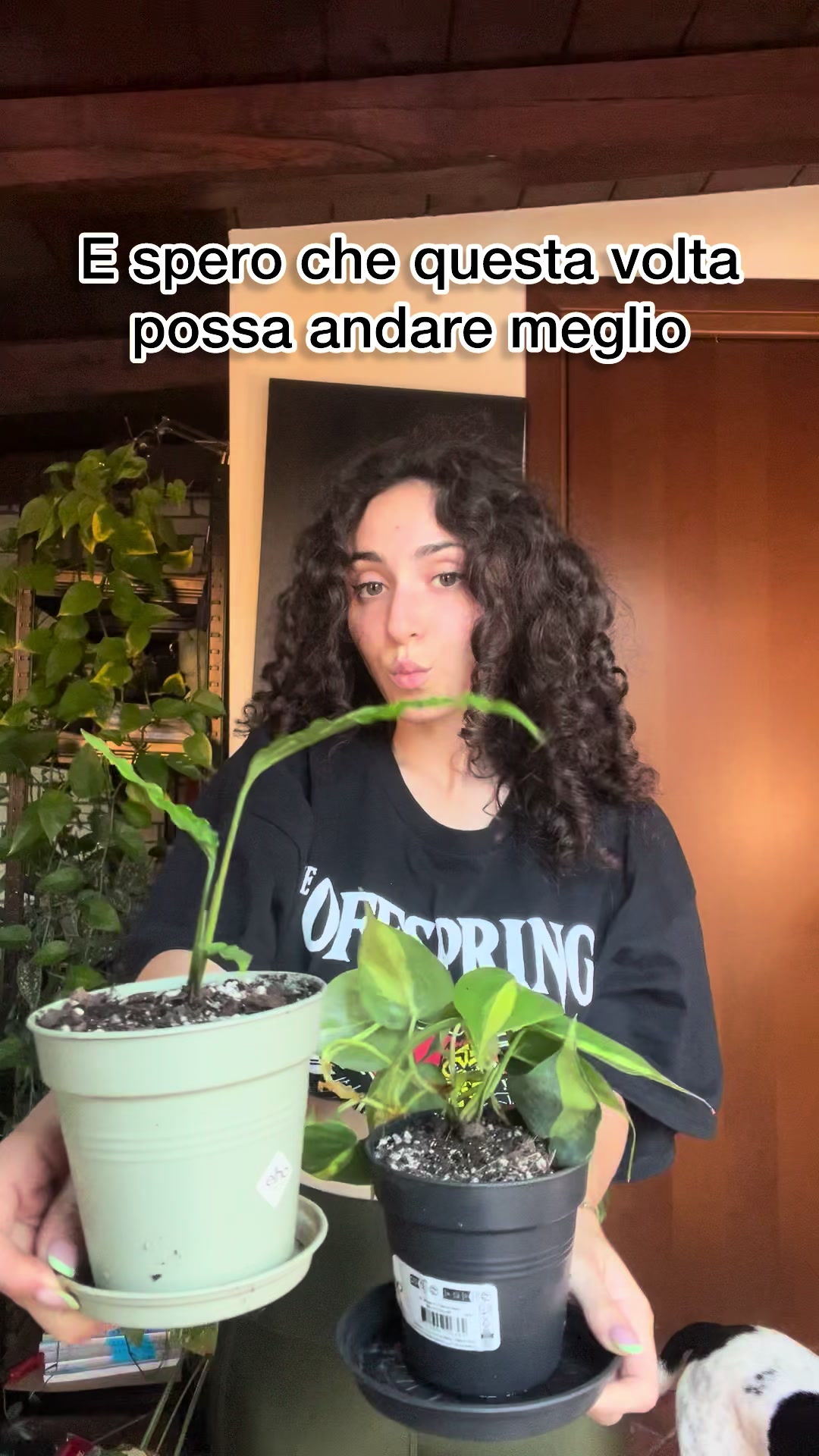 @Margherita Savasta