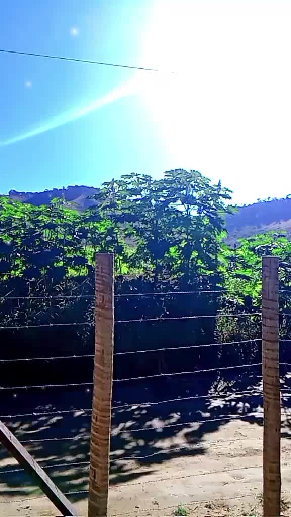 @Potiraguá Bahía e região