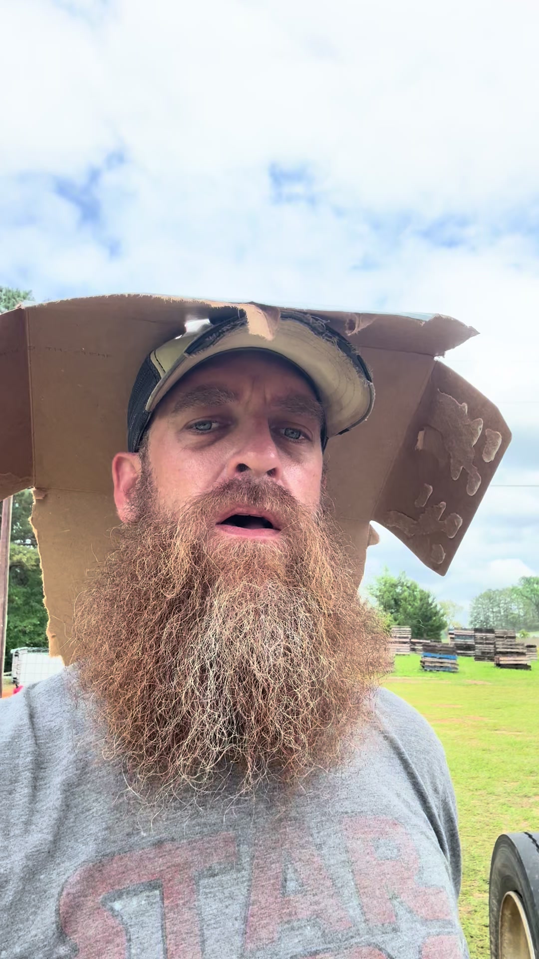 @Bearded bee man