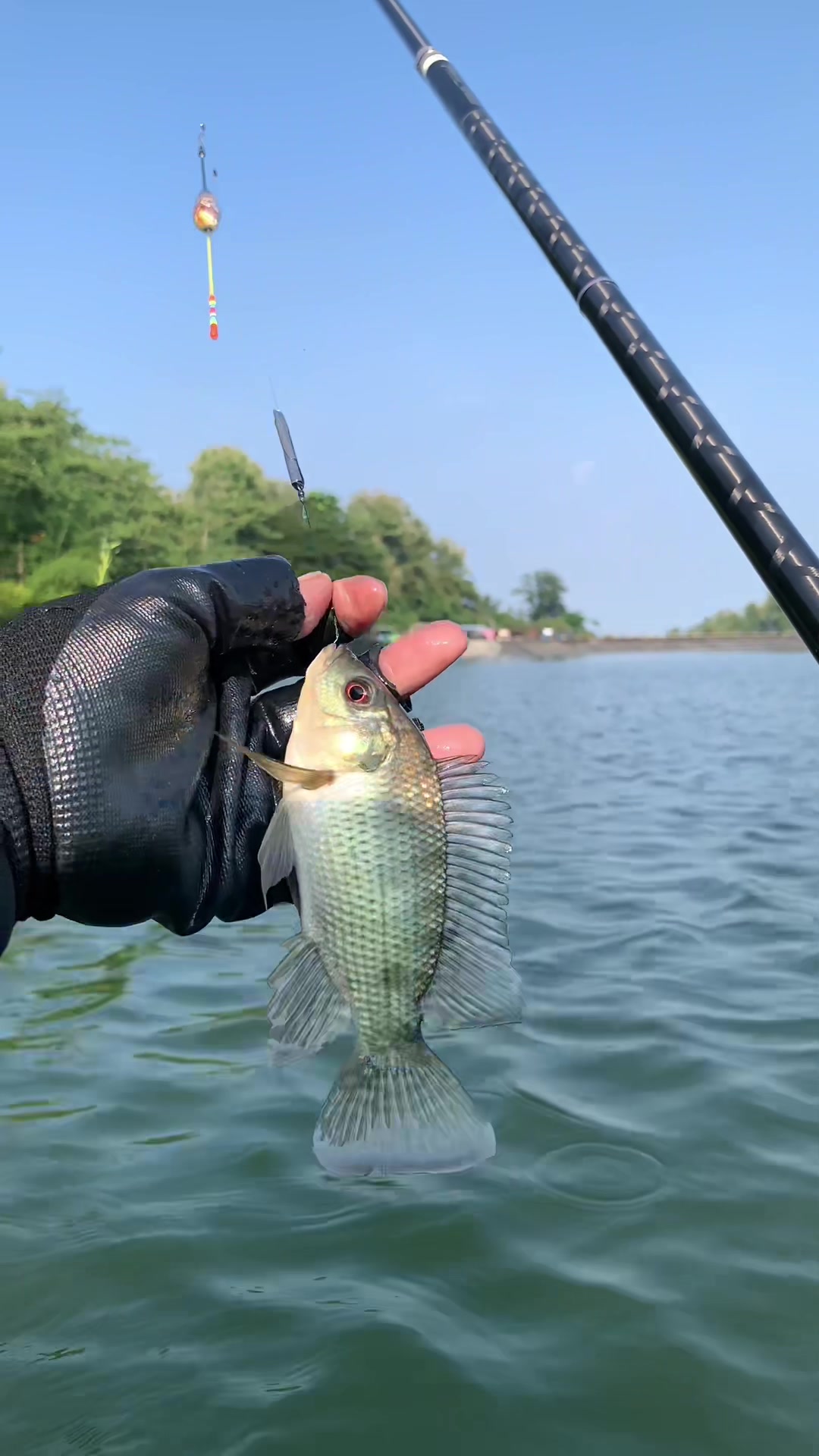 @MAFIA FISHING