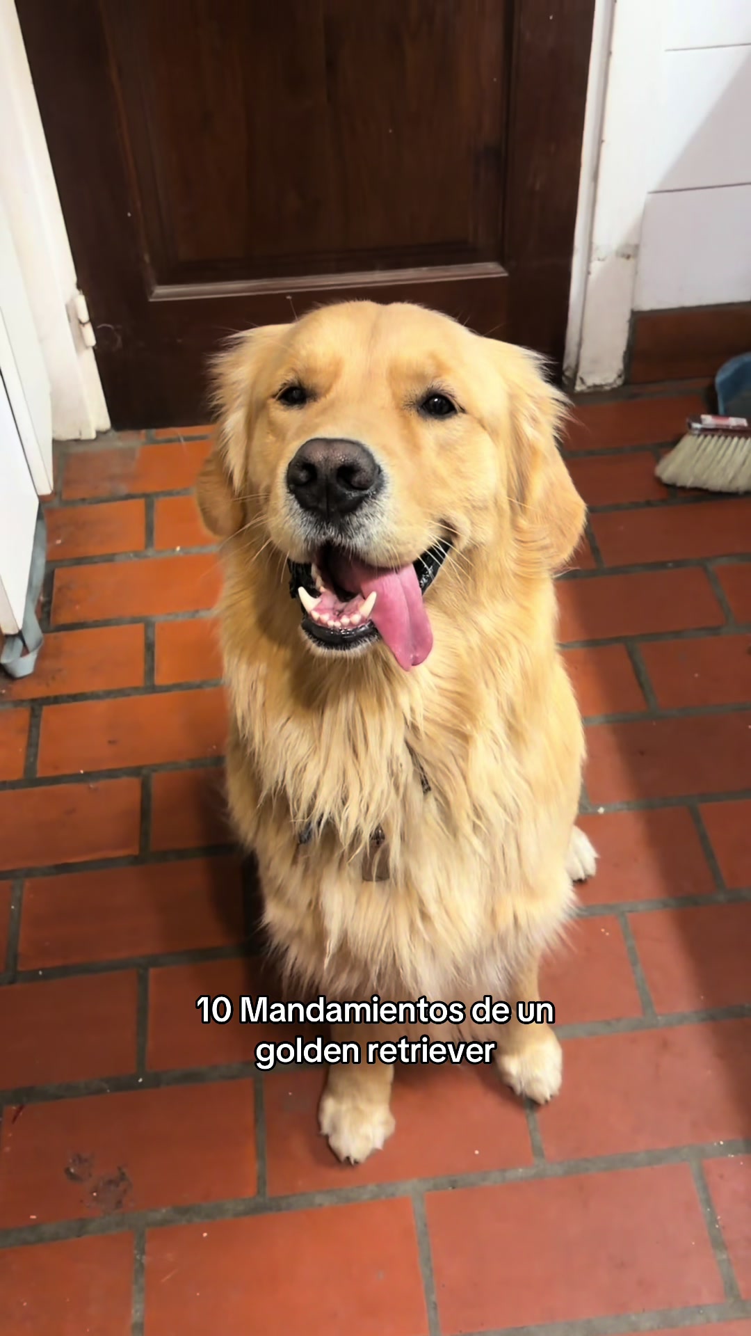 @Narco🐕🐾🐾