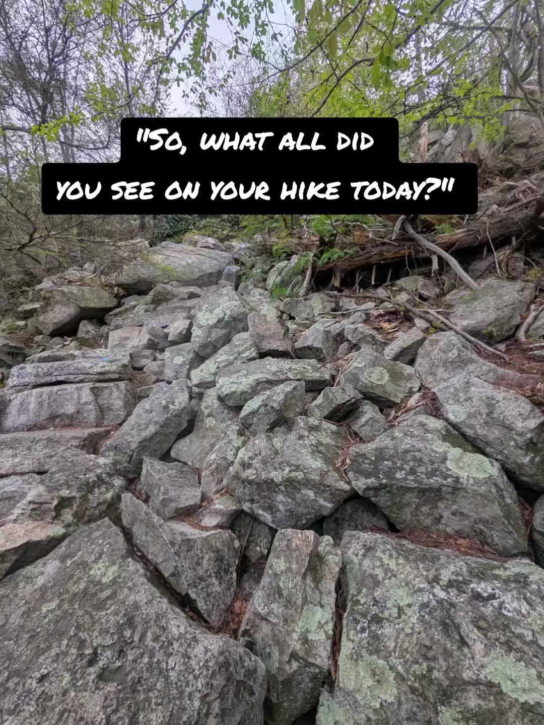 @Forrest of the Memes