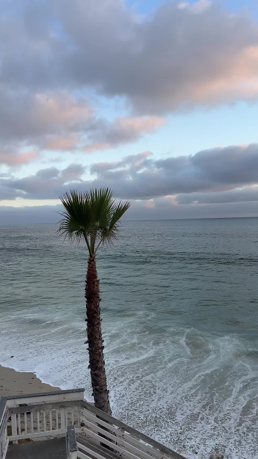 @˘ᵕ˘