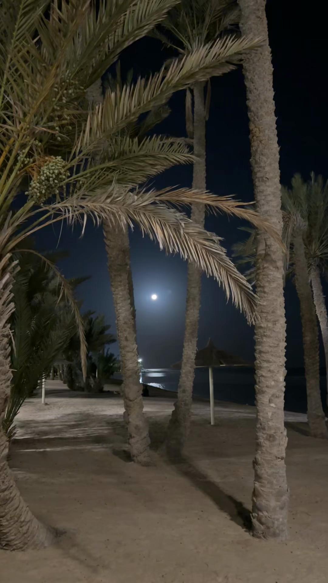 @مـاجد الحربي
