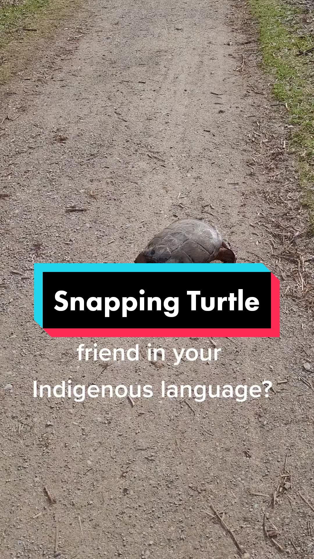 @Gordie H