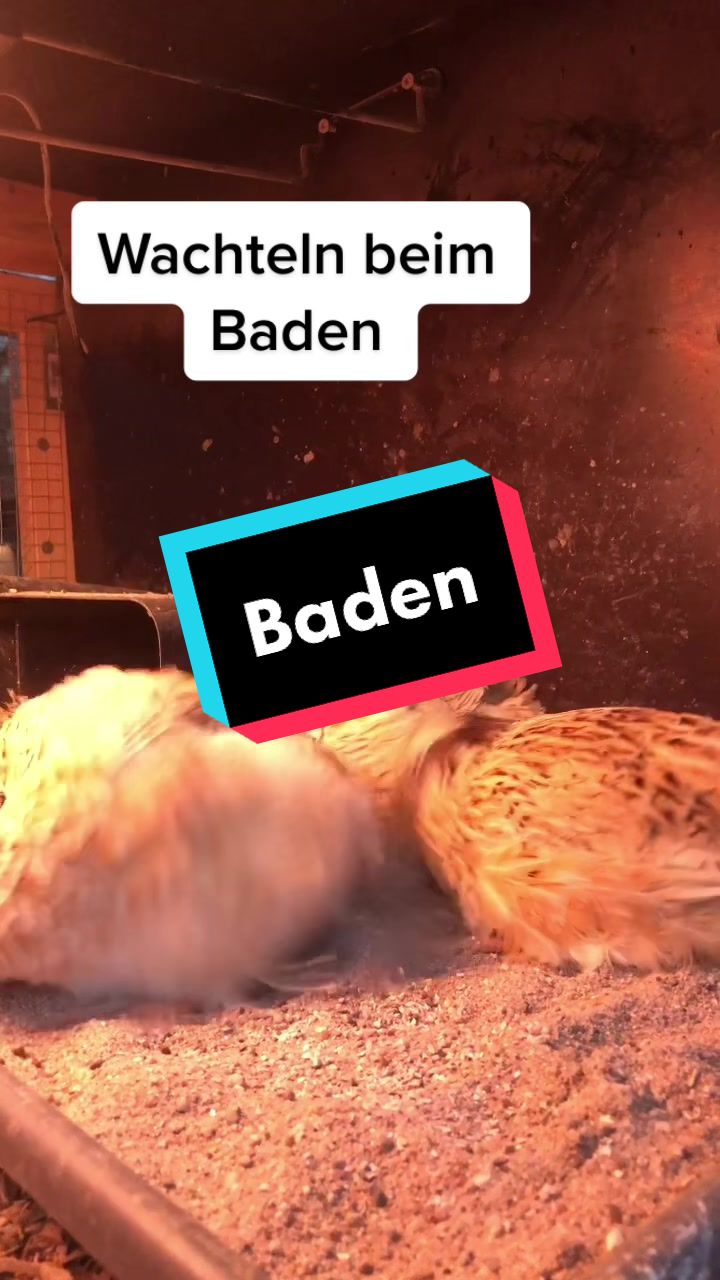 @Jan