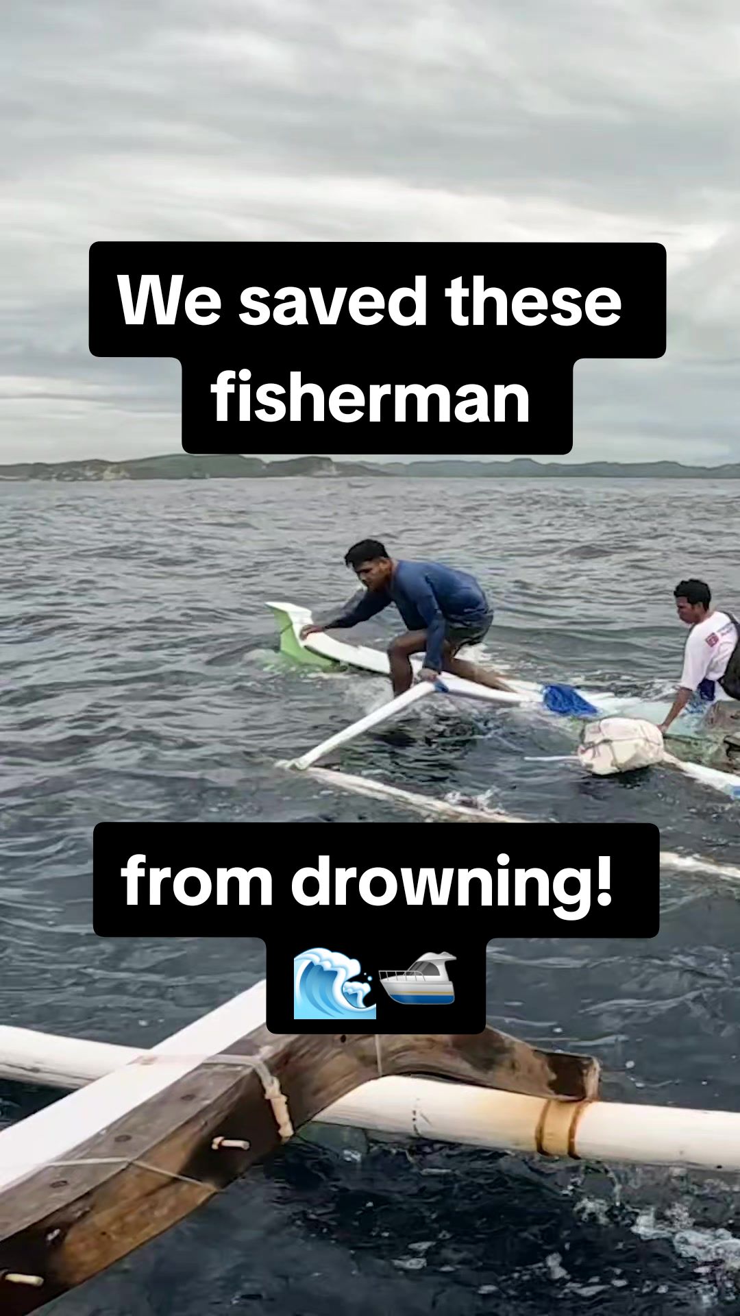 @Salty Mammals