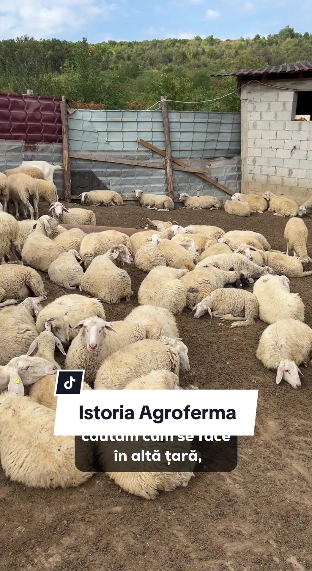 @Agroferma