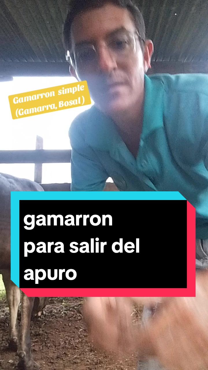 @RobertilloOviedo