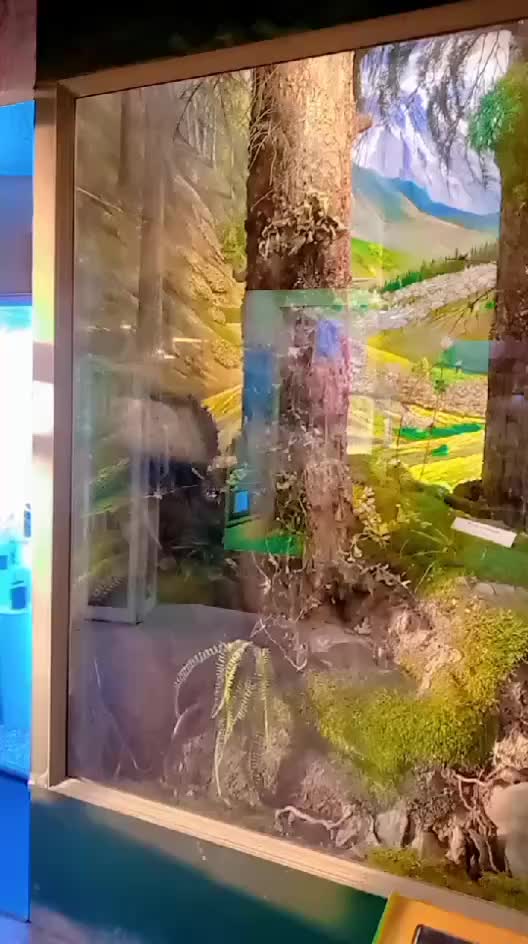 @zaib reki