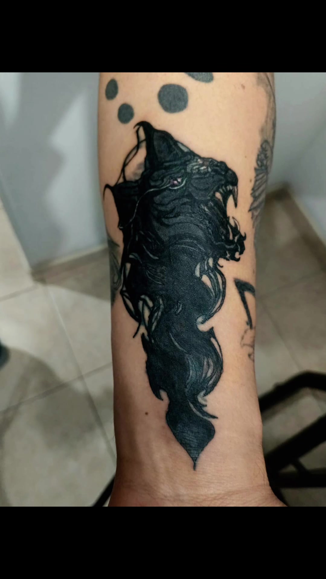 @Ruta 66.ink