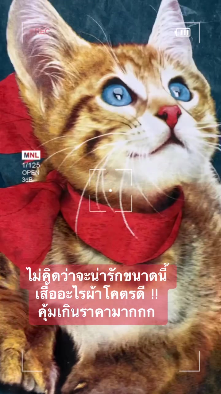 @แวะมาให้ช๊อป