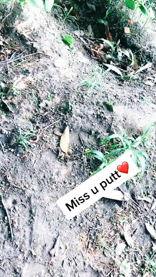 @Fauji💞 faujan🇮🇳