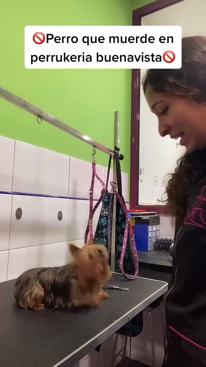 @Sara Palacios