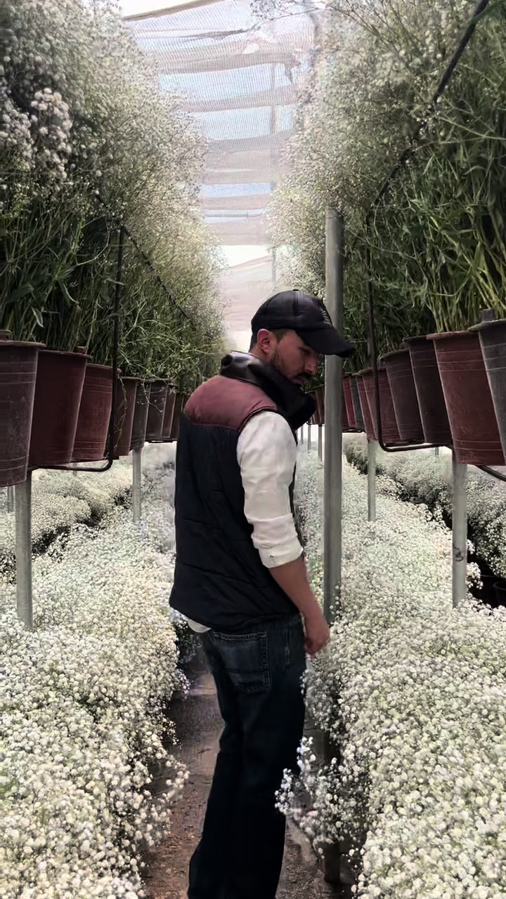 @ecflowersdirect