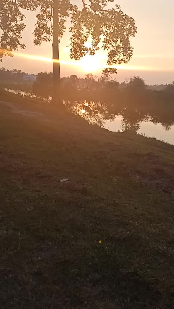 @Risha Dutta