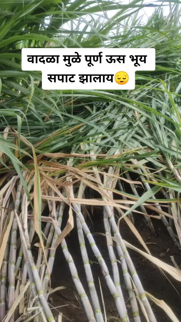 @Shubham Shinde