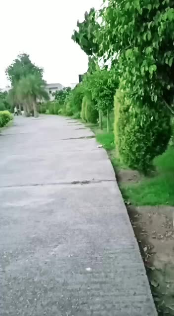 @Jaani Jaani