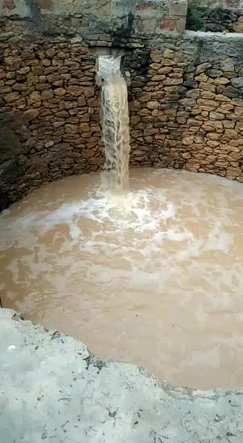 @Ravubha Manek