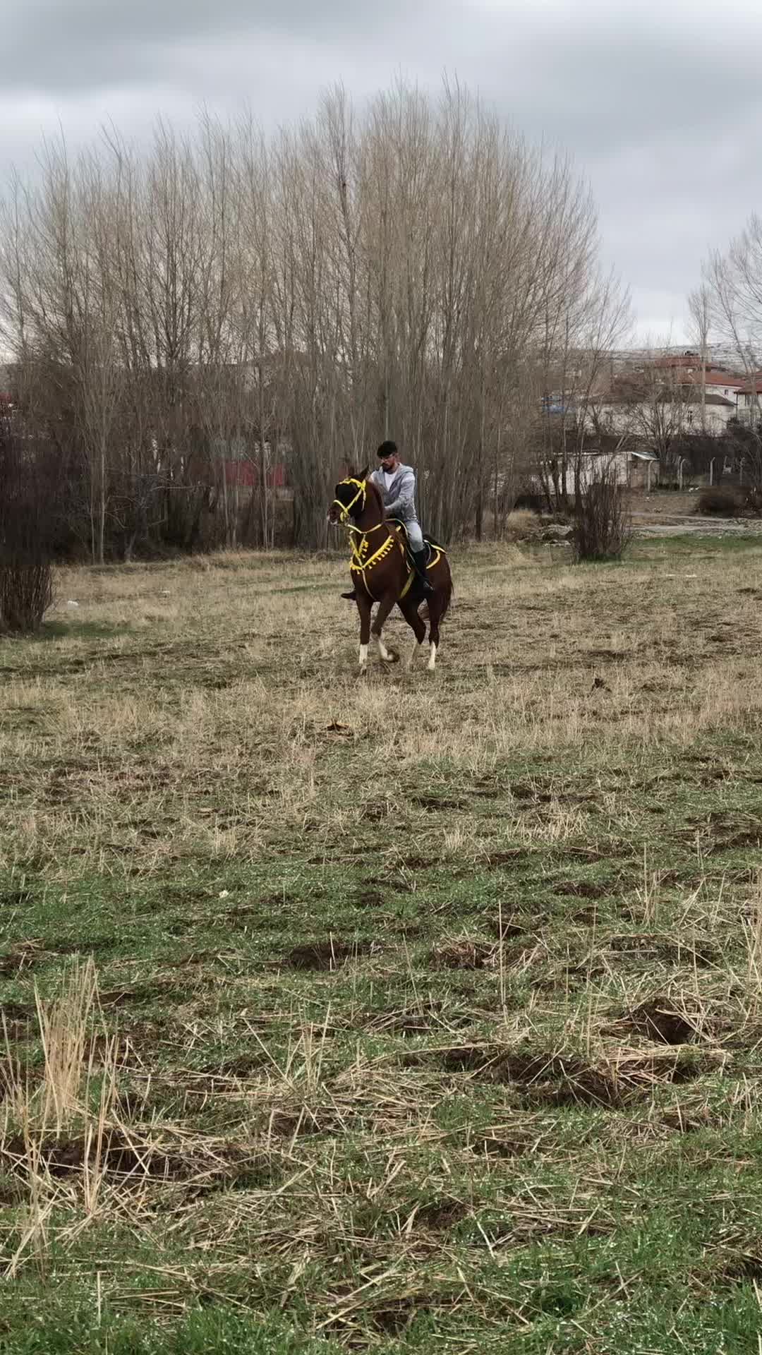 @Nihatirencin