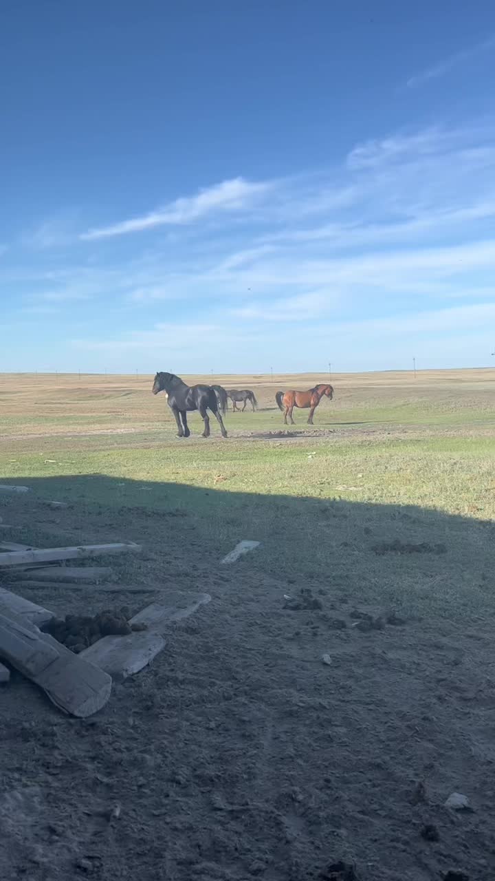 @Есенғали