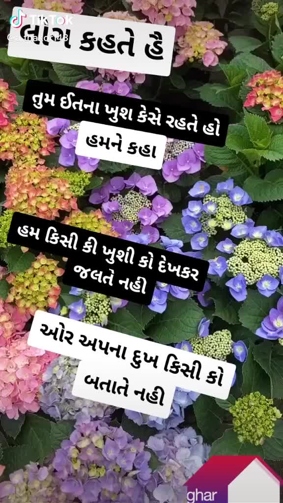 @પ્રવિણ ભુવાજી