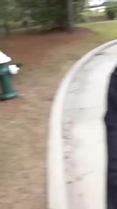 @vayaiakoama