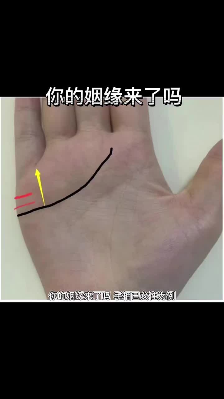 @星云讲国学