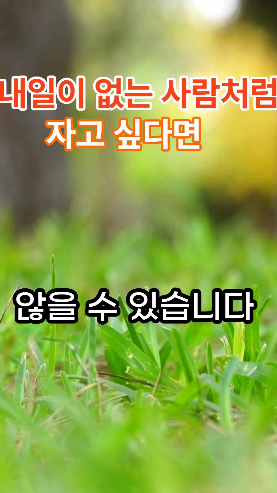 @건강한 산책