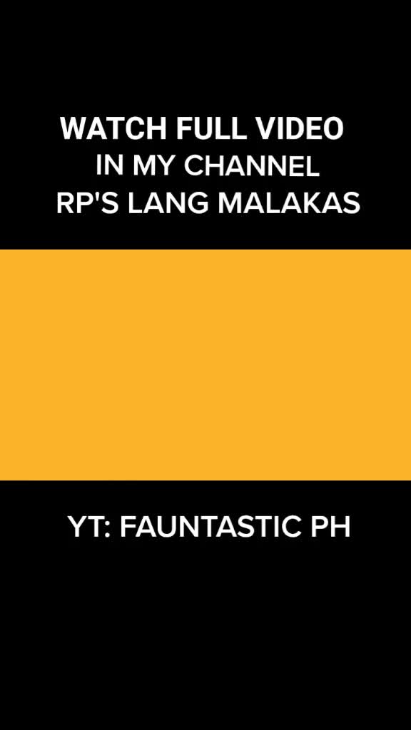 @RPW PRANK