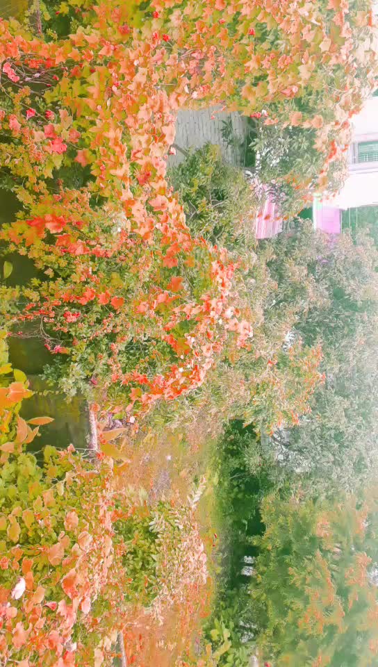 @Arjun babu  adhikari