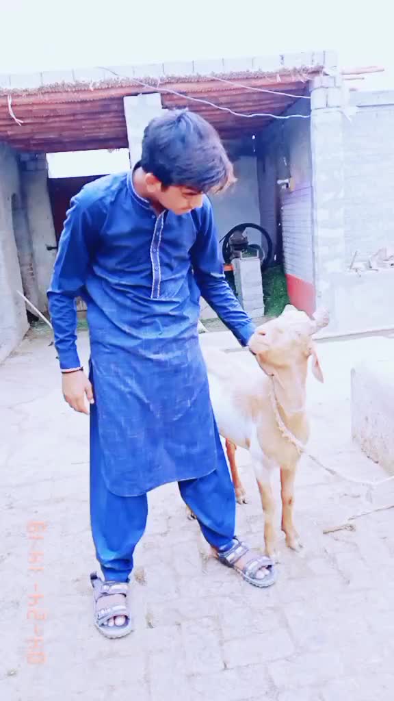 @Awais Malik follow me 💞💞💞🔥