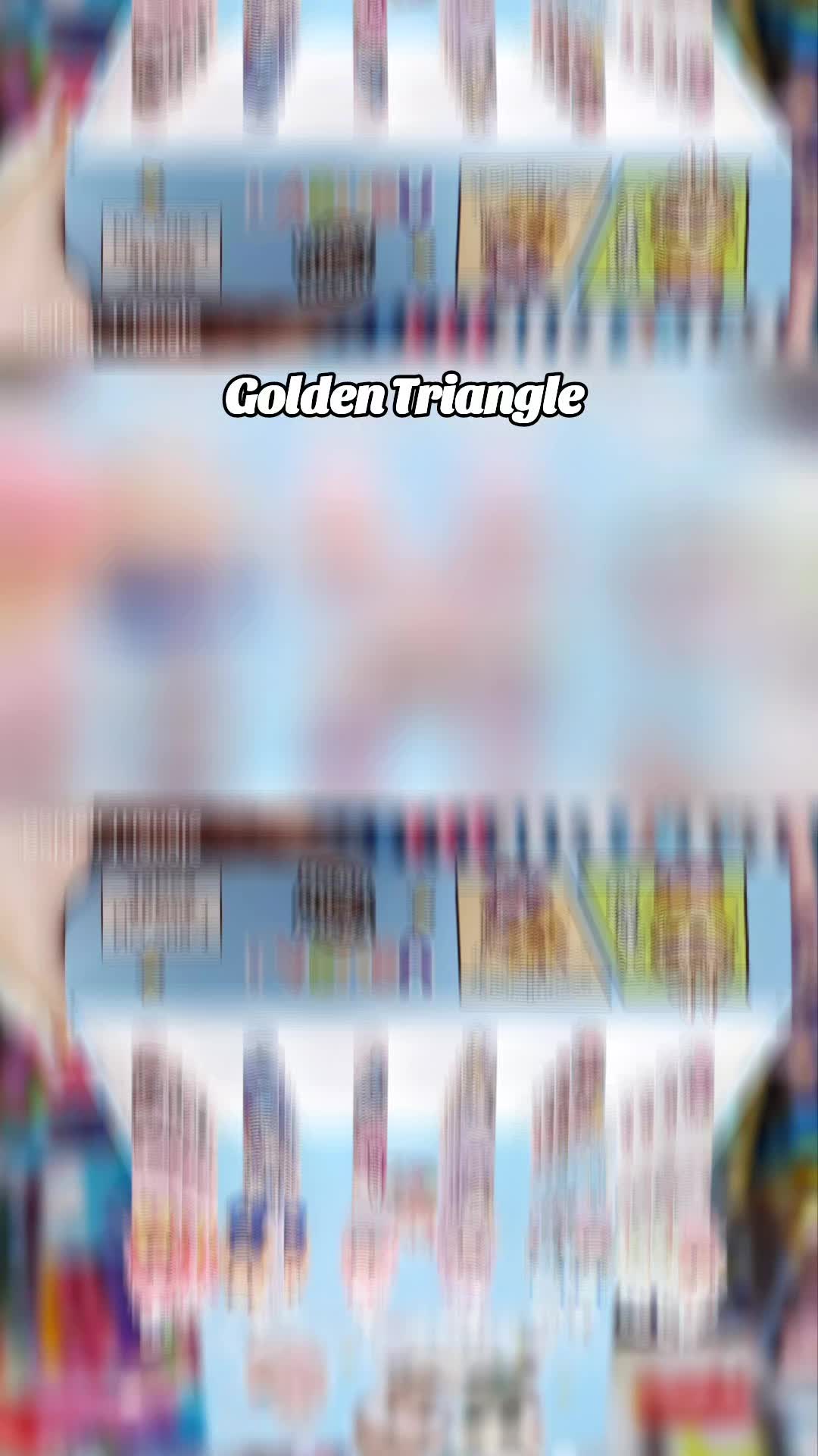 @Golden Triangle since 2000