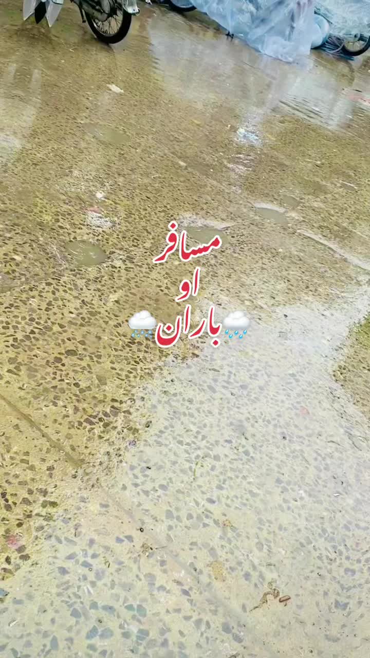 @speenstargai302