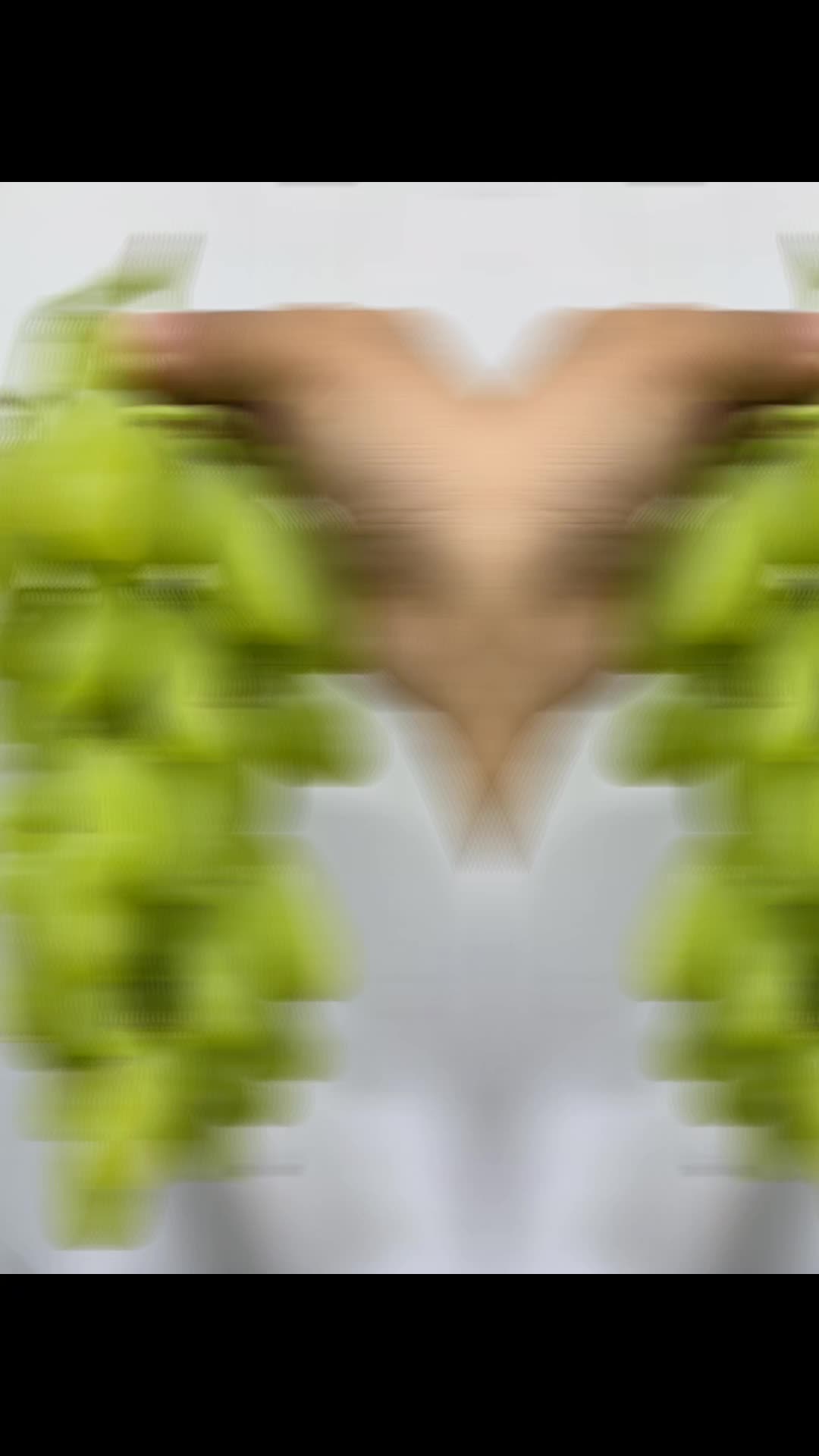 @Transfruits