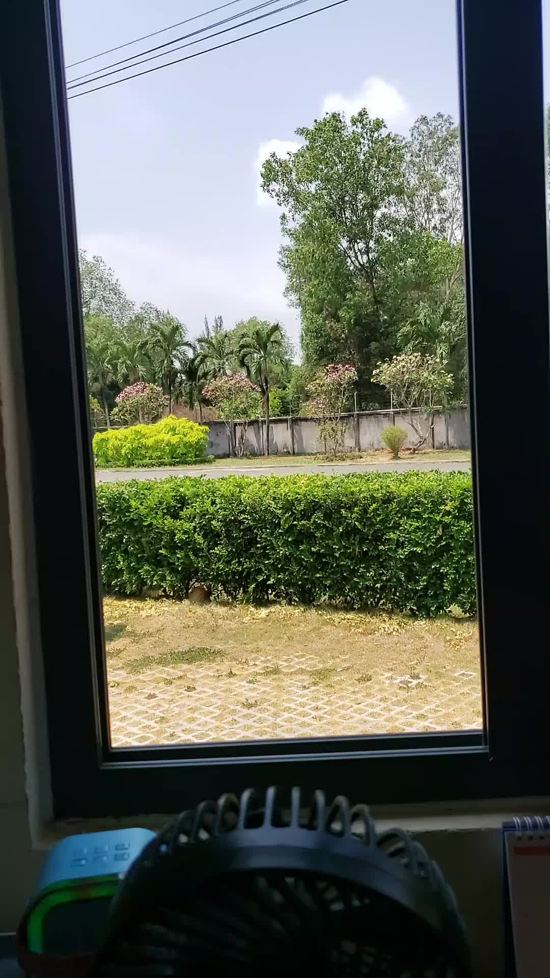 @M&ecirc; ca h&aacute;t