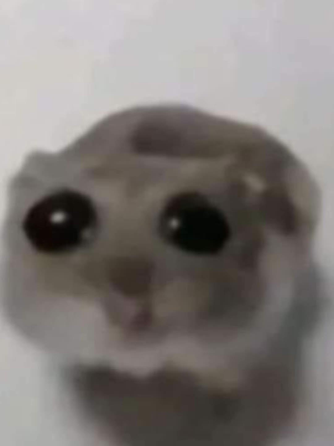 @papajoez3