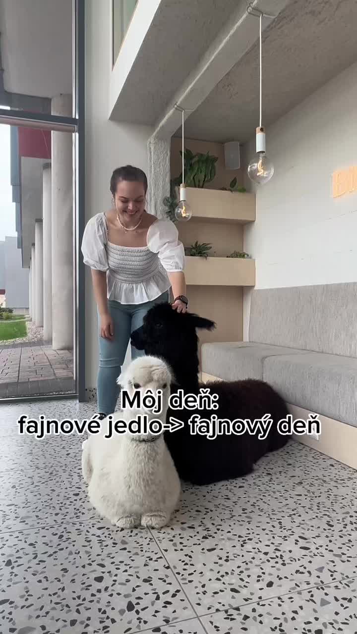 @Ema | Rebel di&eacute;tnej kult&uacute;ry