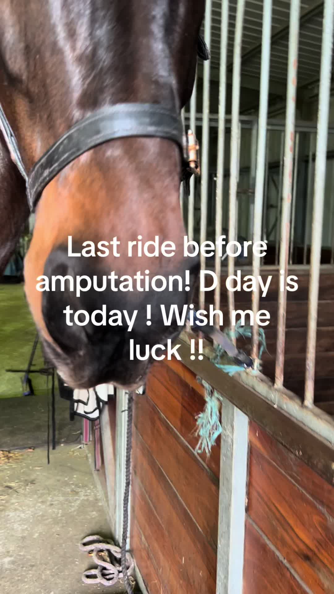 @Suzin- Para equestrian