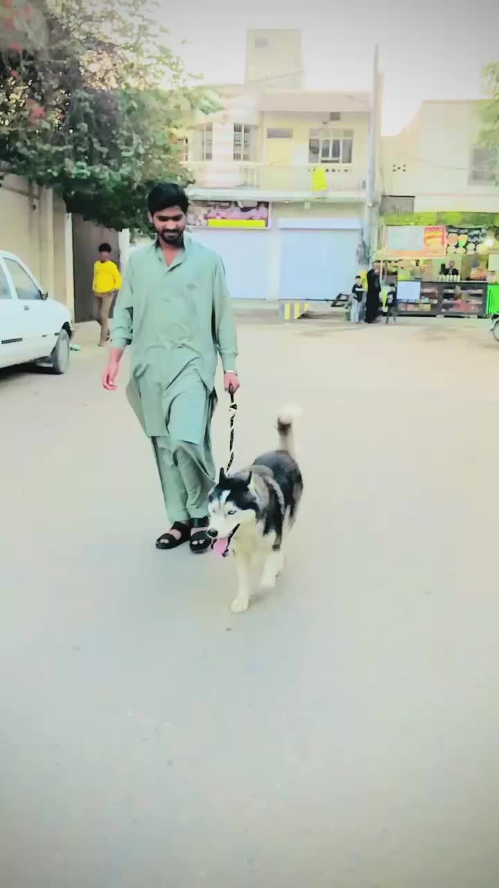 @Doگar🚩♠️