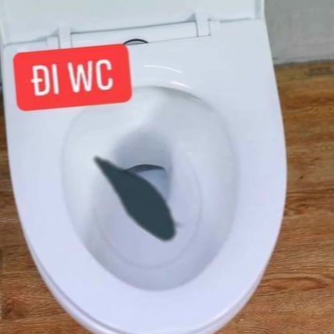 @V&otilde; Ho&agrave;ng Nam🦈