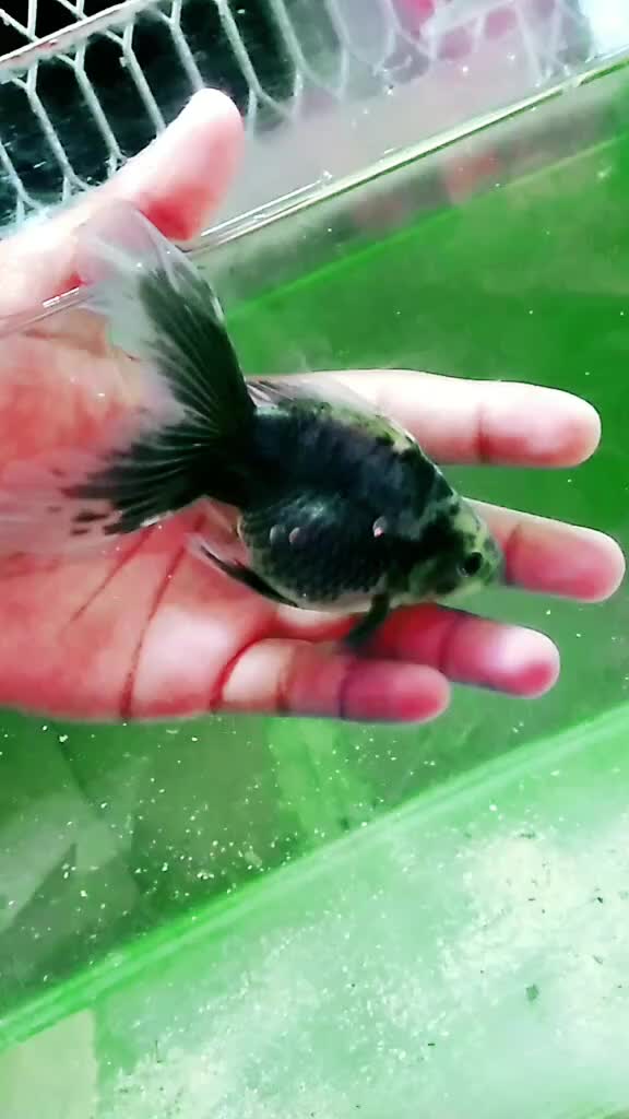 @๐ฅต?๐๐๐๐_๐๐®๐ฅต