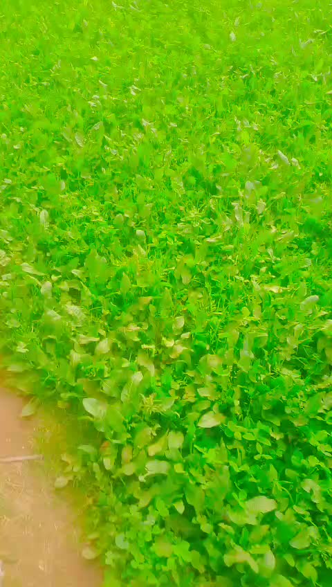 @Ali Zain 121472
