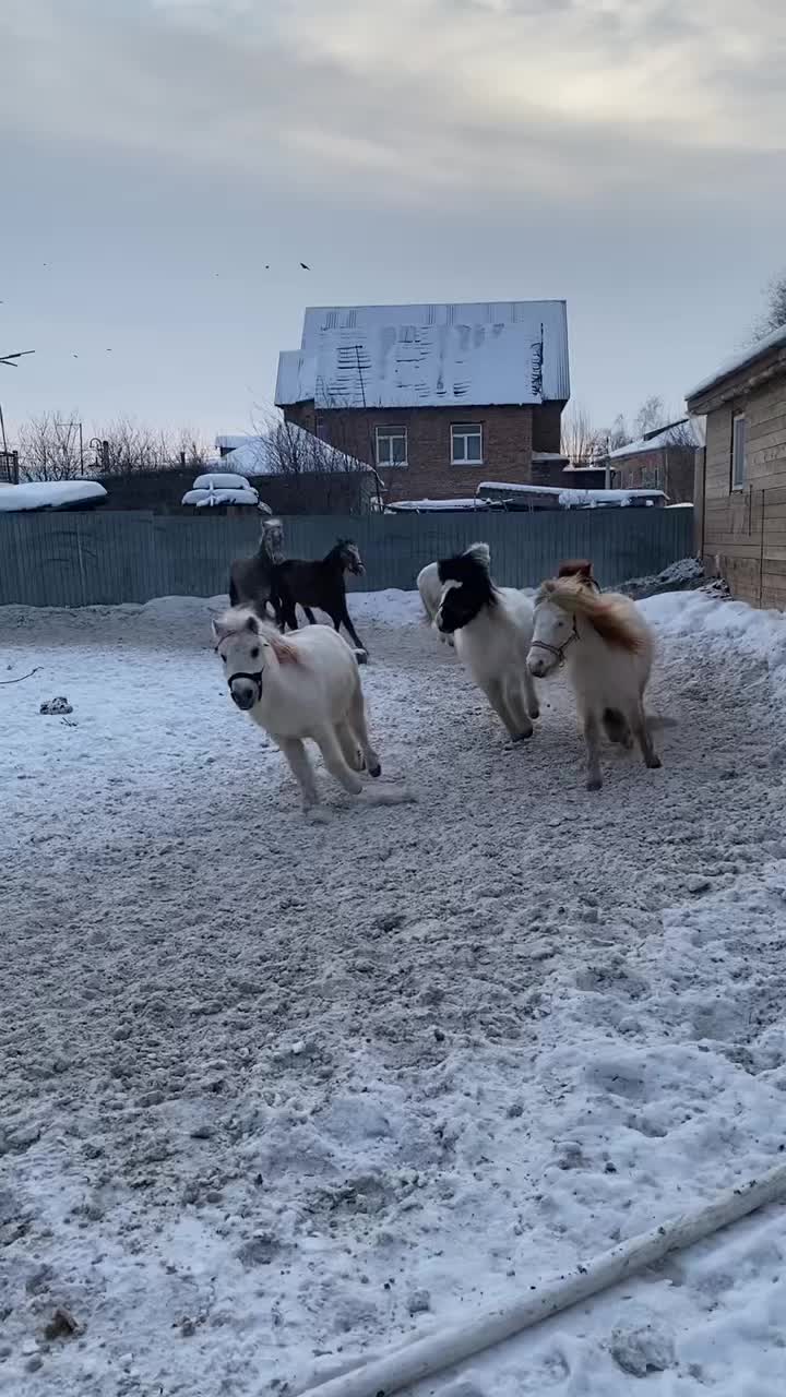 @А_нют_А🤪