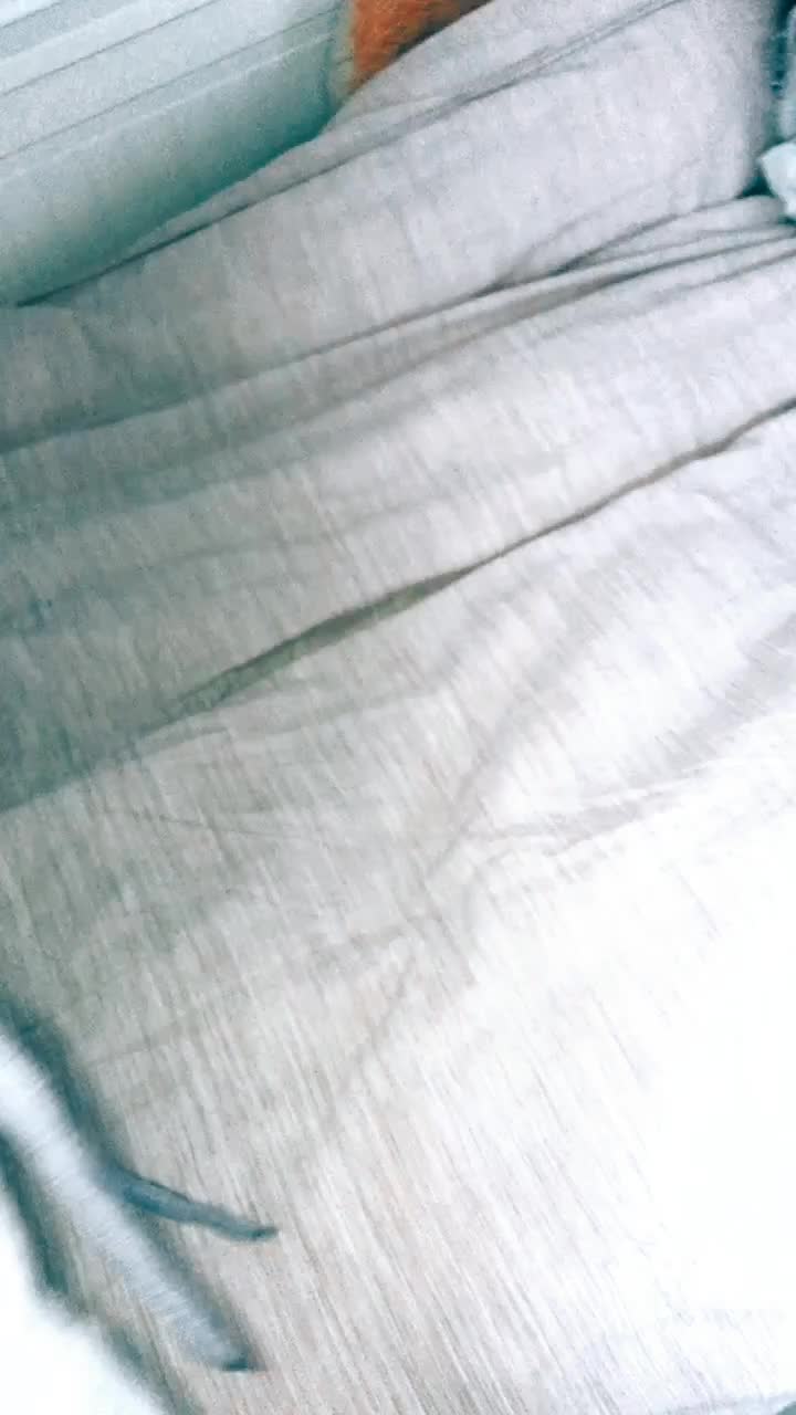 @No&euml;lle