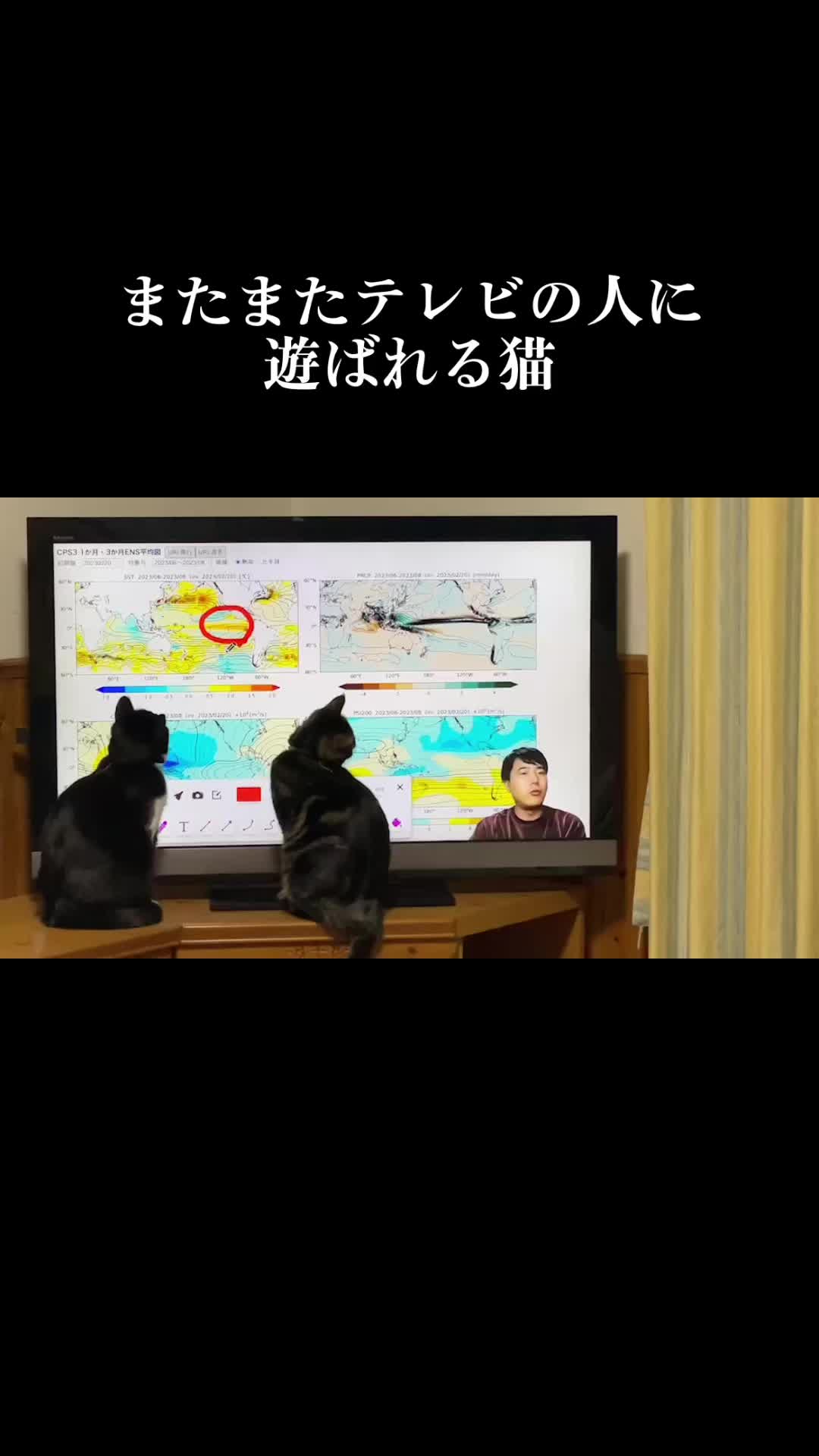 @バギー