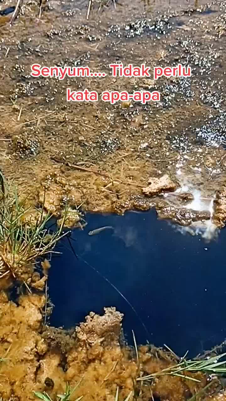 @Megat Lutfi Megat Rahim